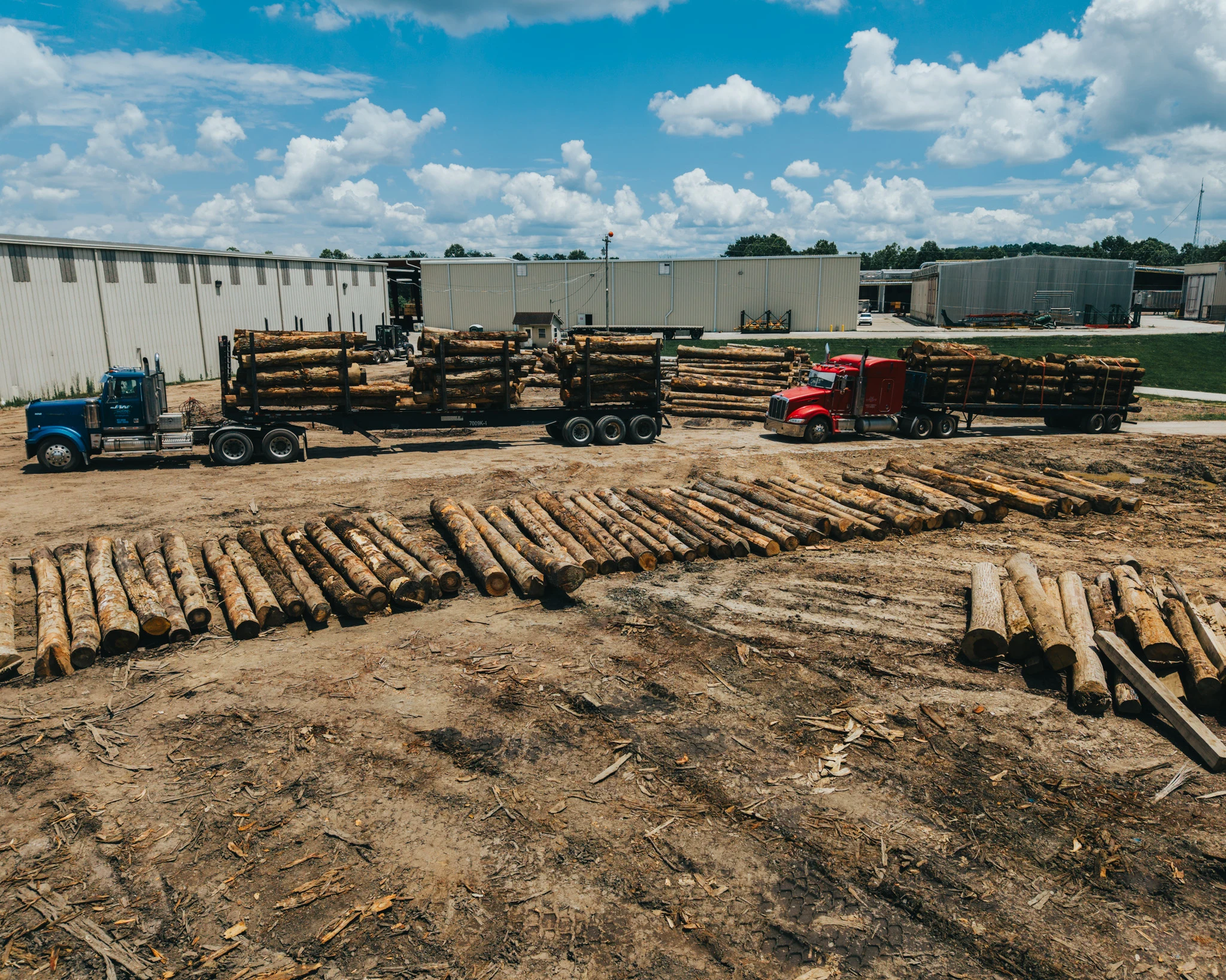 Log trucks delivering timber to the Kentucky Forest Products facility