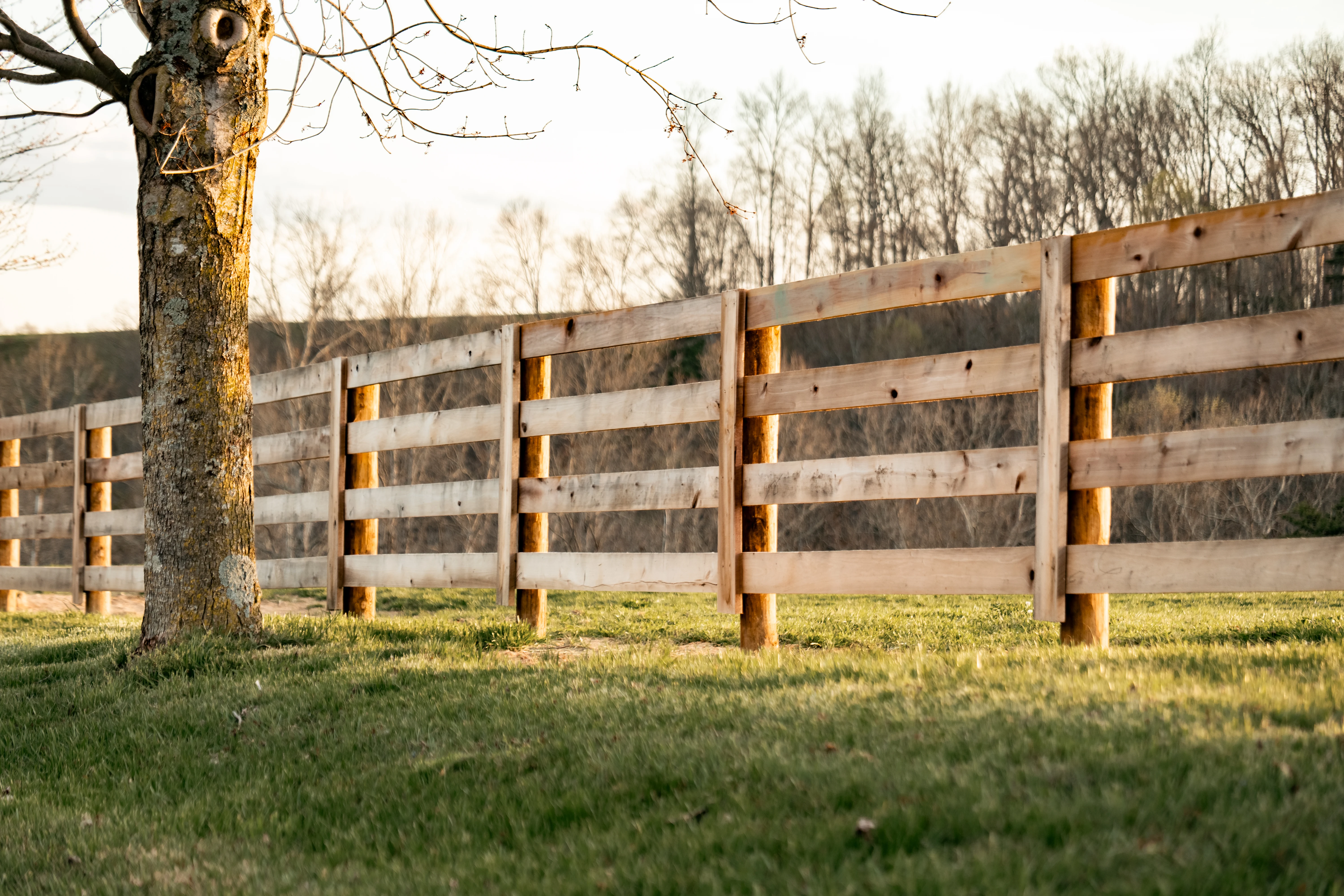 Wooden fence posts and boards