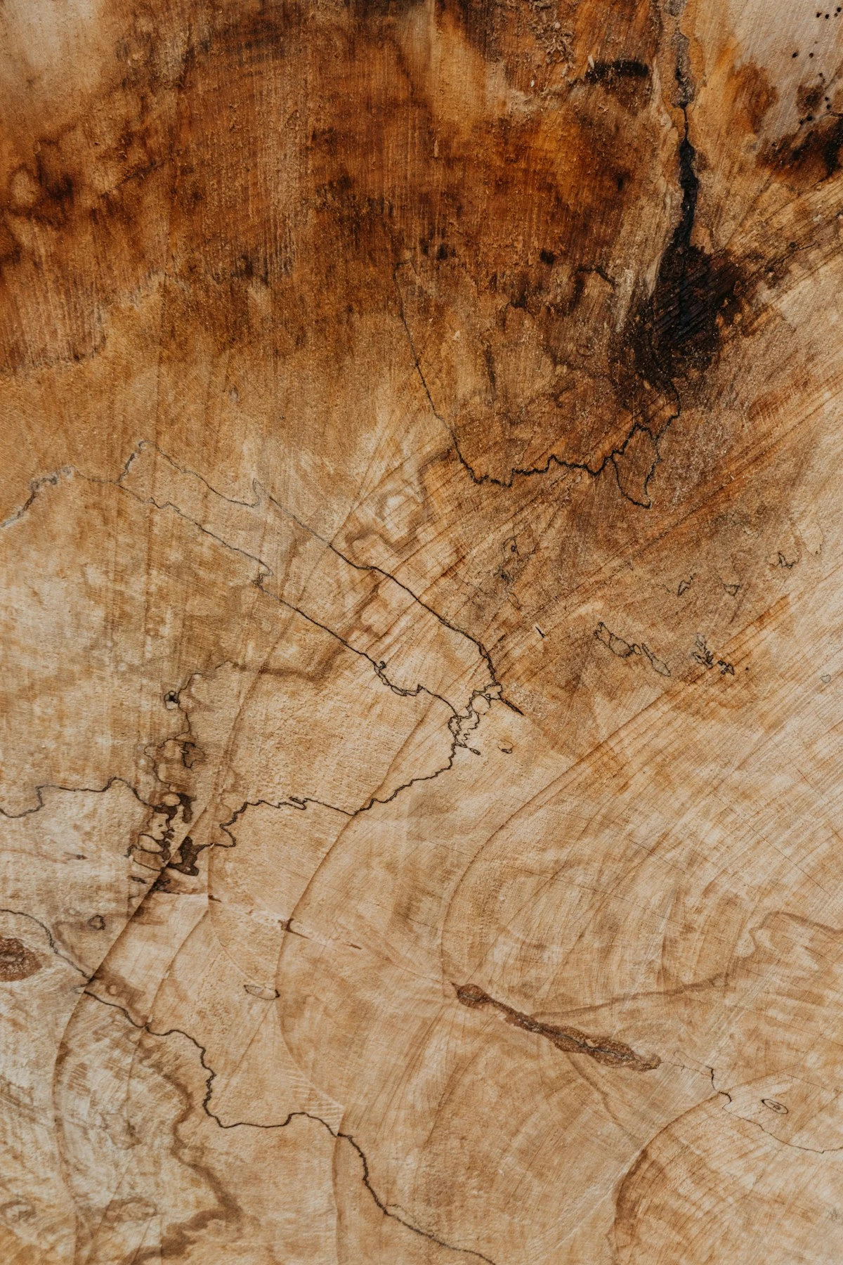 Red Oak hardwood with deep grain character