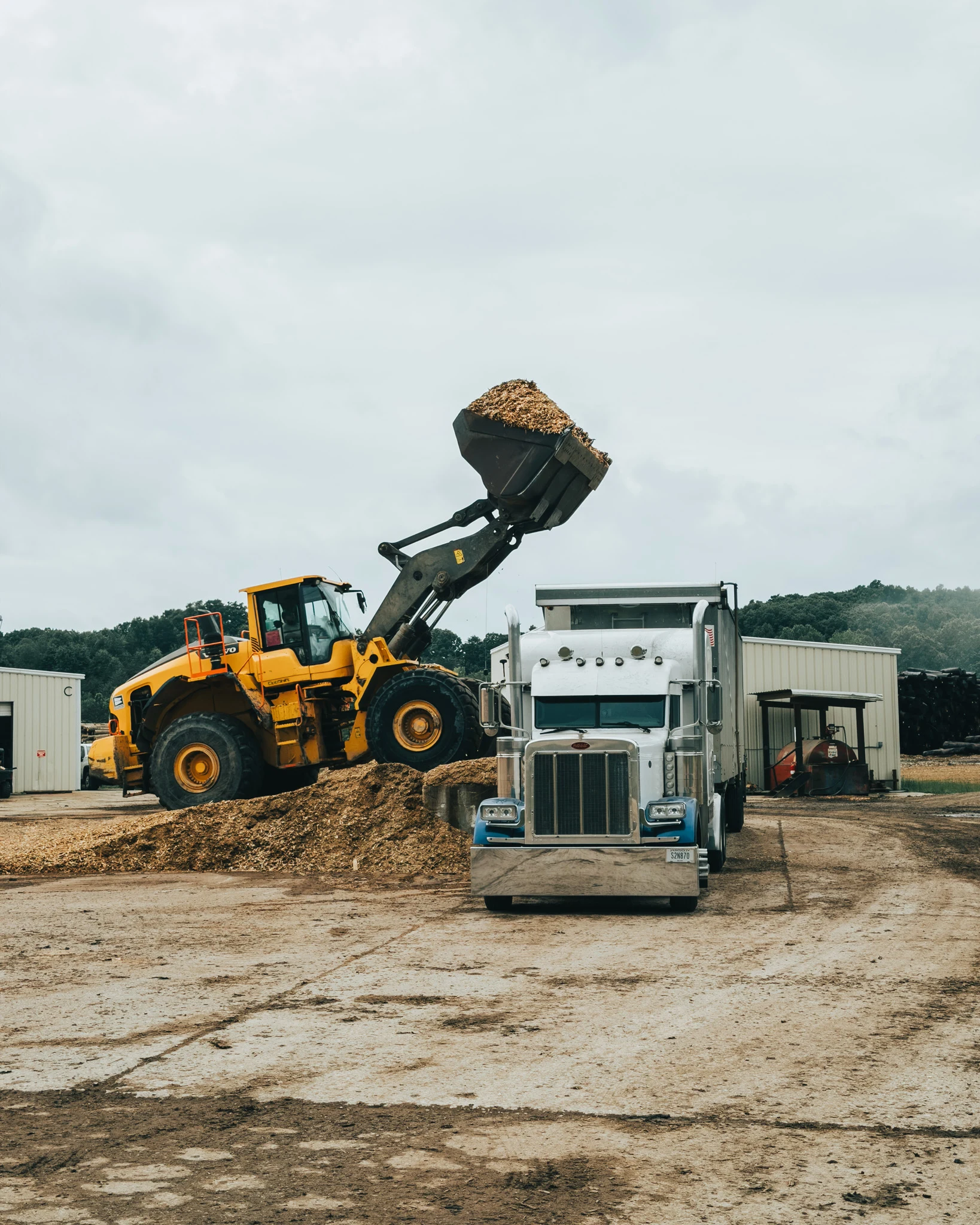 Wood chips for landscaping and biomass applications